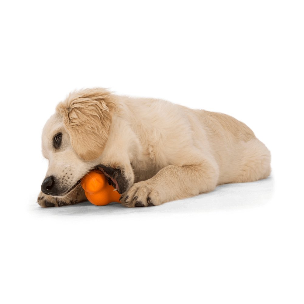 West Paw Tux Treat Dispensing Tough Dog Toy
