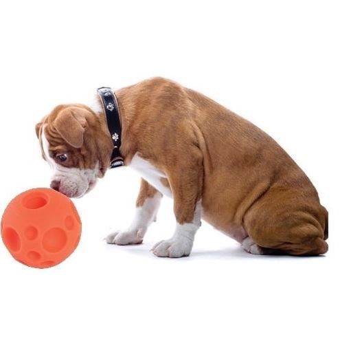 Omega Paw Tricky Treat Ball Treat Dispensing Dog Toy