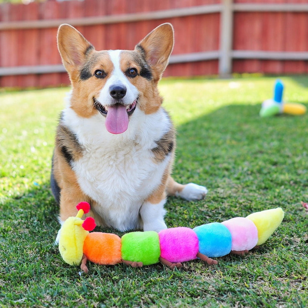 Zippy Paws Long Caterpillar 6 Squeakers Plush No Stuffing Dog Toy
