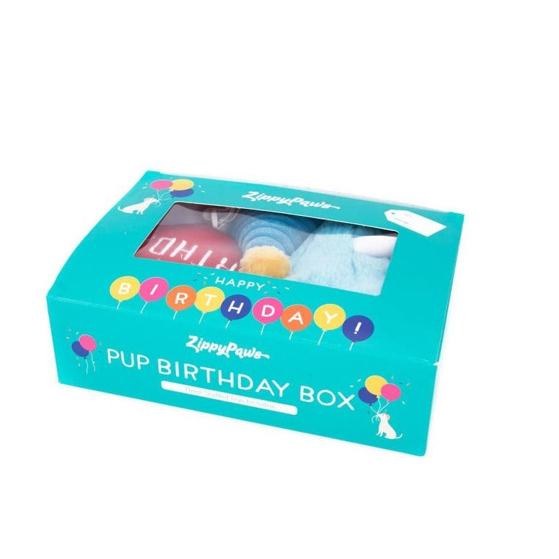 Zippy Paws Birthday Box with Cake, Balloon & Party Hat - blue