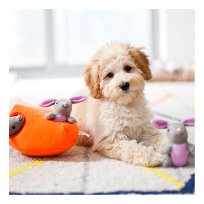 Zippy Paws Interactive Burrow Dog Toy - Bunny 'n Carrot